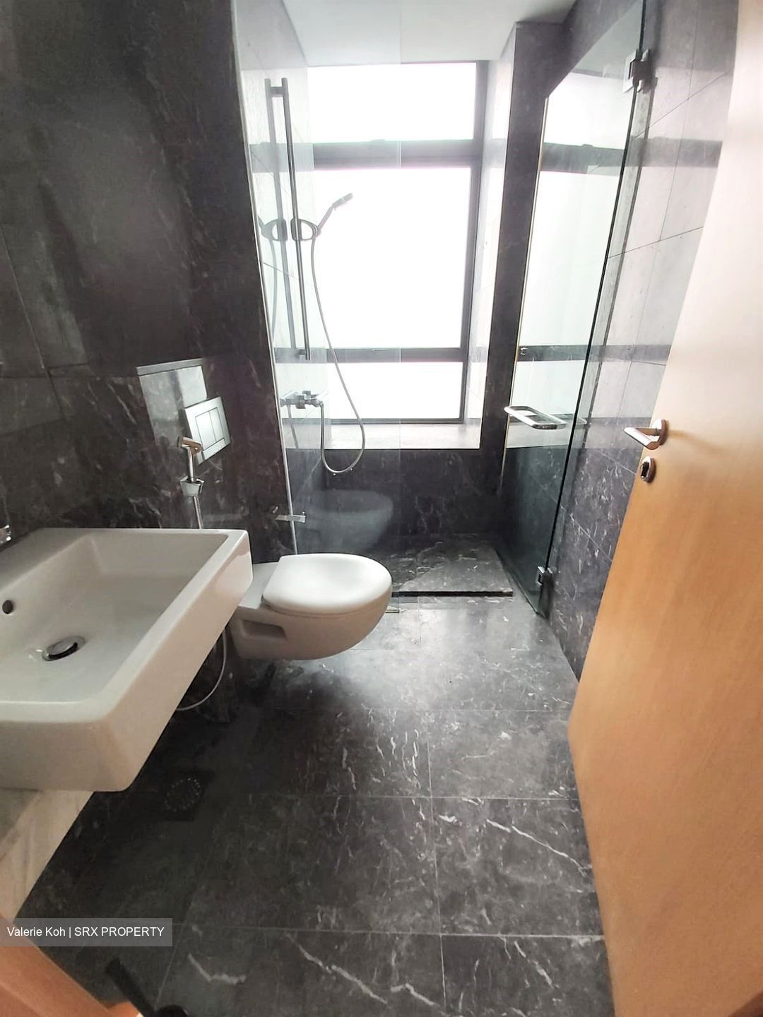 Skypark @ Somerset (D9), Apartment #357207771